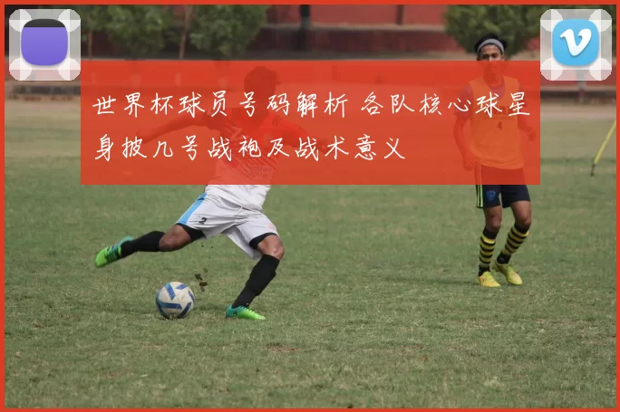 世界杯球员号码解析 各队核心球星身披几号战袍及战术意义